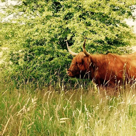 Landloft Nedderby - Grosszuegig & Modern Appartement Husby (Schleswig-Flensburg)